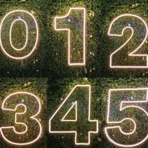 m02 neon numbers