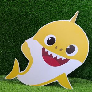 c01 cutout
