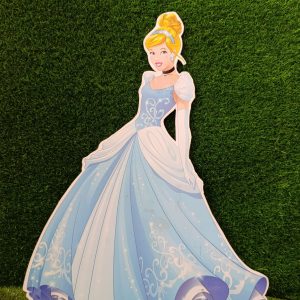 c01 cutout