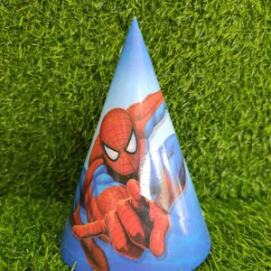 zh01 birth day hat
