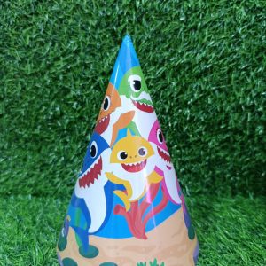 zh01 birth day hat