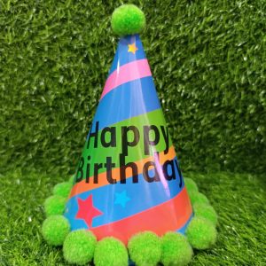 zh01 birth day hat