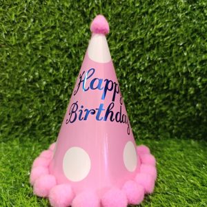 zh01 birth day hat