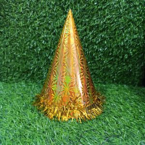 zh01 birth day hat