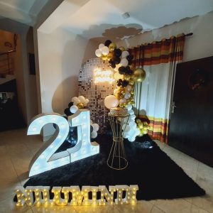 setup 220