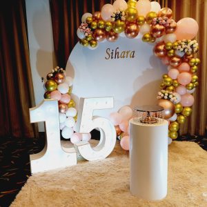 setup 220