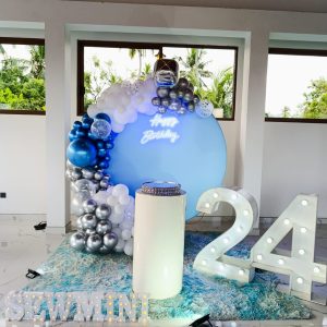 setup 220