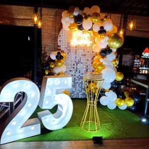 setup 220
