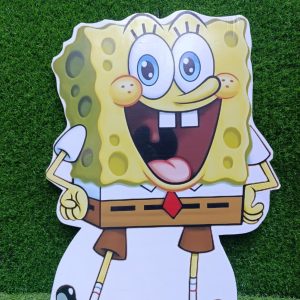 c102 cutout